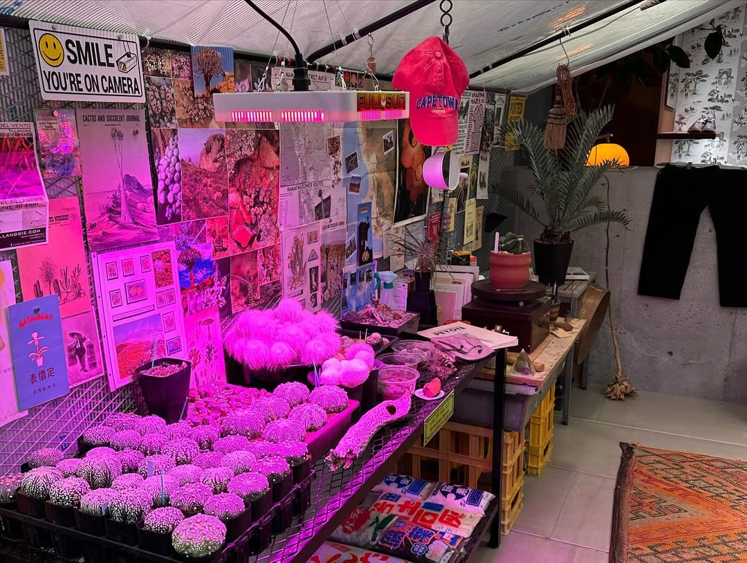 John Carol Kirby and Eddie Chacon Live in Shanghai